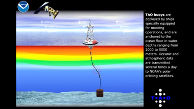 TAO Array Youtube Flash